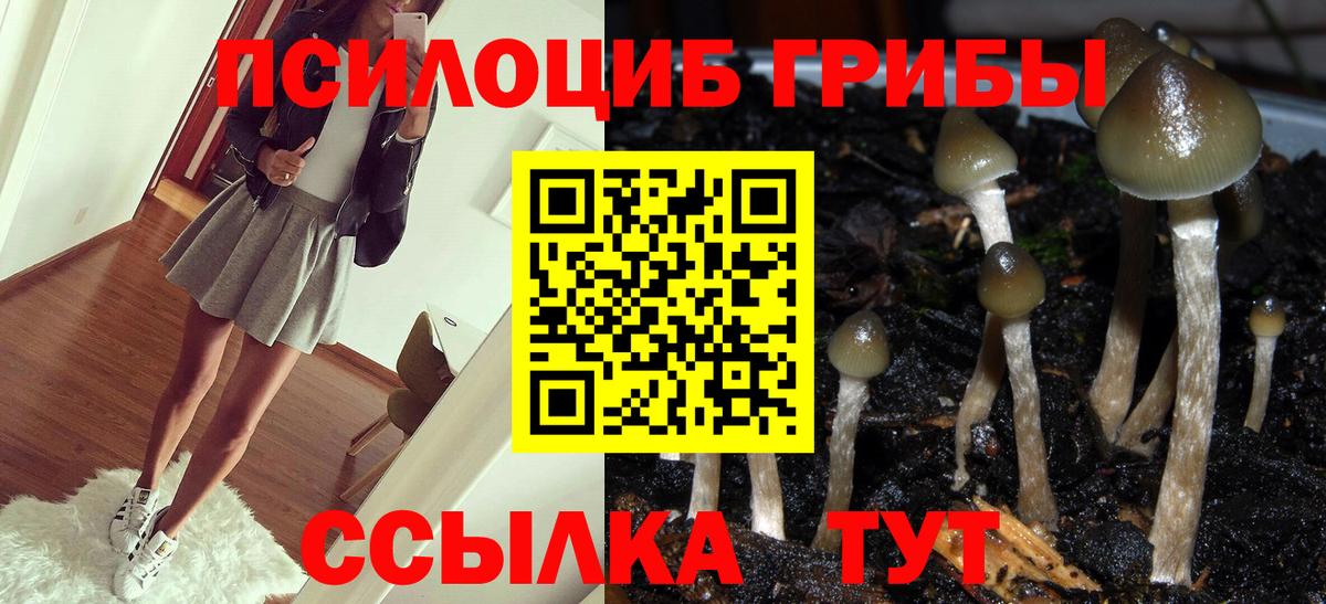 Меф МЯУ МЯУ кристаллы  Гашиш  Бошки Шишки  COCAIN  Гусь-Хрустальный  Вход с VPN  MDMA  Меф МЯУ МЯУ  ГАШИШ  Каннабис 