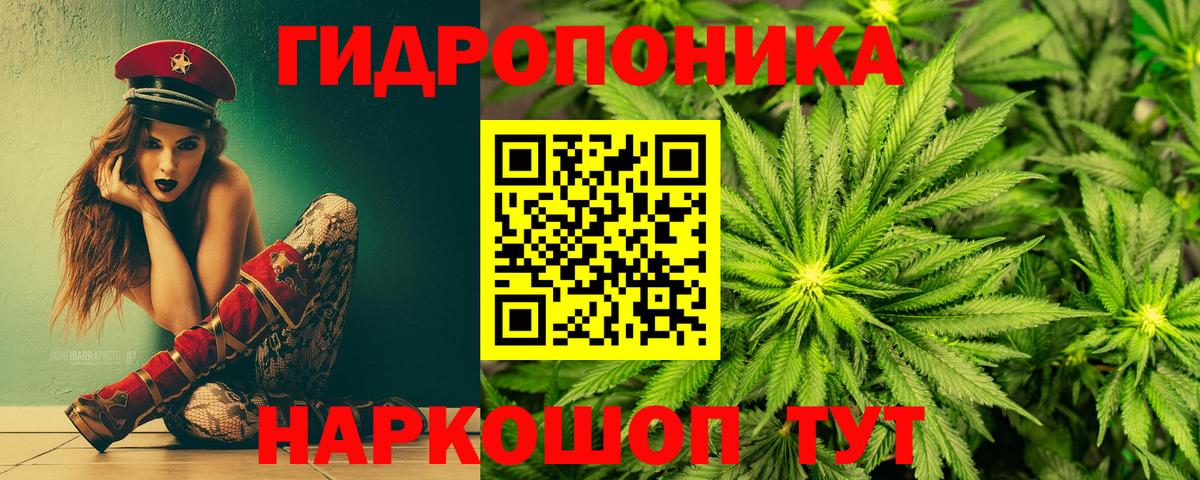 Каннабис гибрид  Шишки марихуана SATIVA & INDICA  Гусь-Хрустальный  Конопля марихуана  Вход с VPN  Конопля семена 